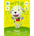 Daisy