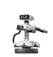 R.O.B.